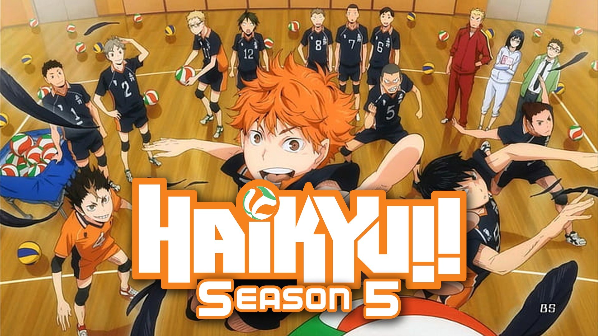 Haikyuu Season 5 Release Date, Cast, Plot, and Much More