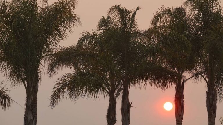 Weather Alert: Smoke from Sequoia Wildfires will Push into these California Counties