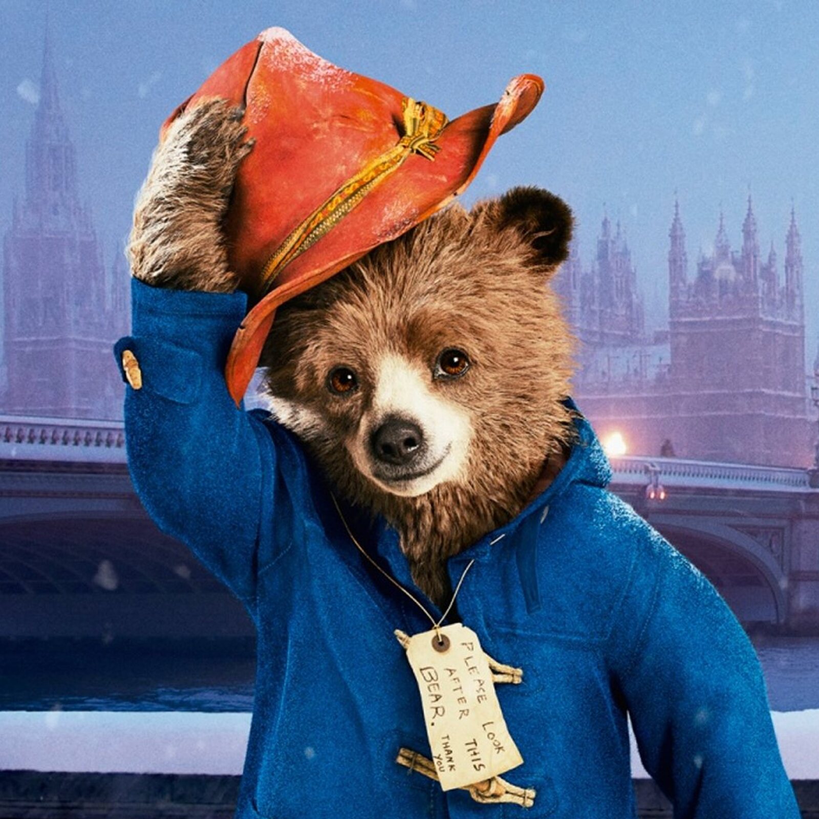 President Volodymyr Zelensky Voiced Paddington Bear In The Ukrainian Version Of The Film The Innersane